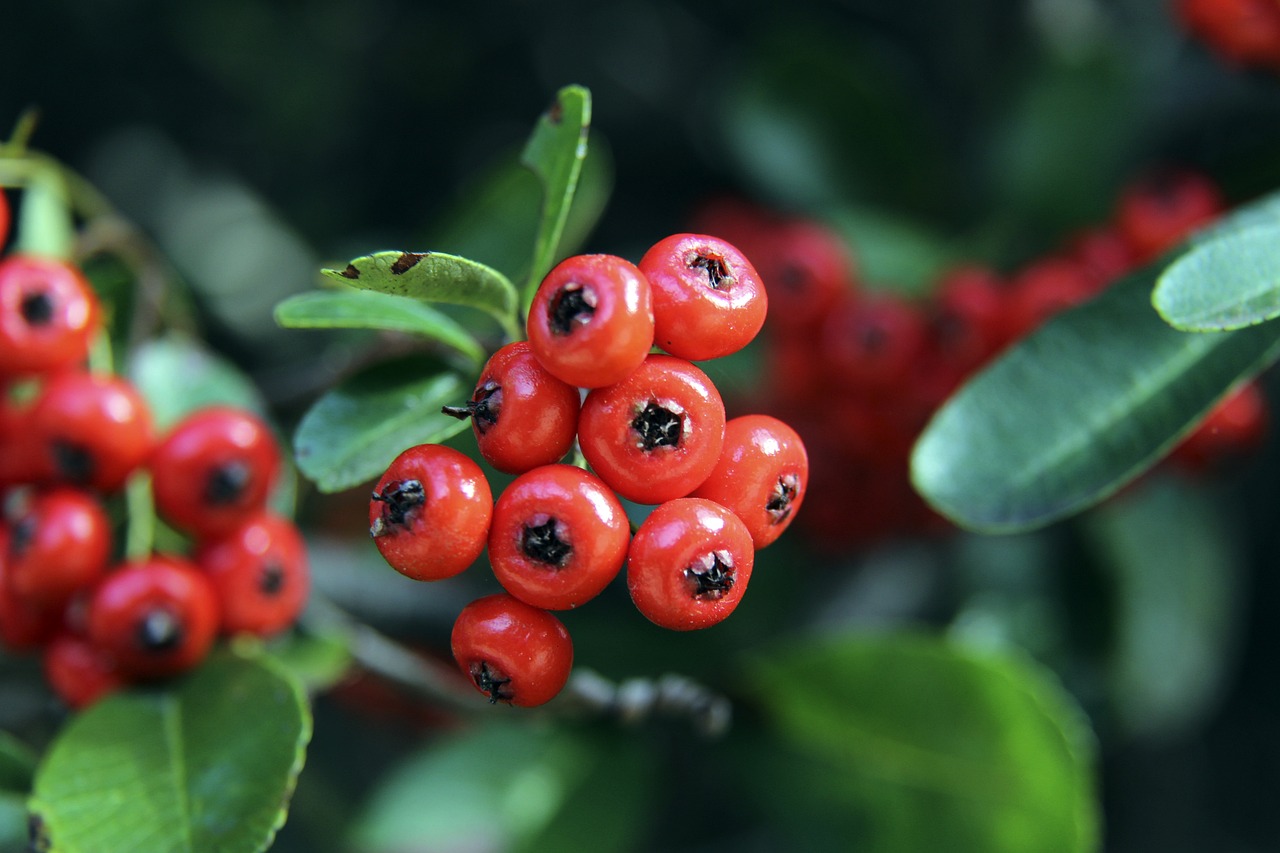 破产不仅意 破产不仅意