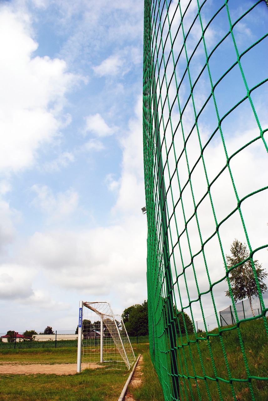 凭借惊人的 凭借惊人的