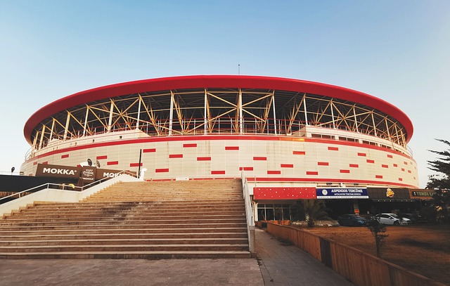 倍增的情况 倍增的情况