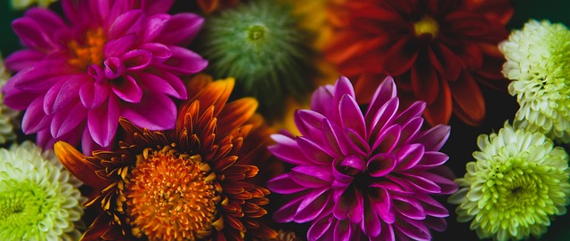 彩的未来 彩的未来