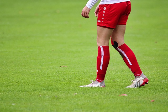 几名队员 几名队员