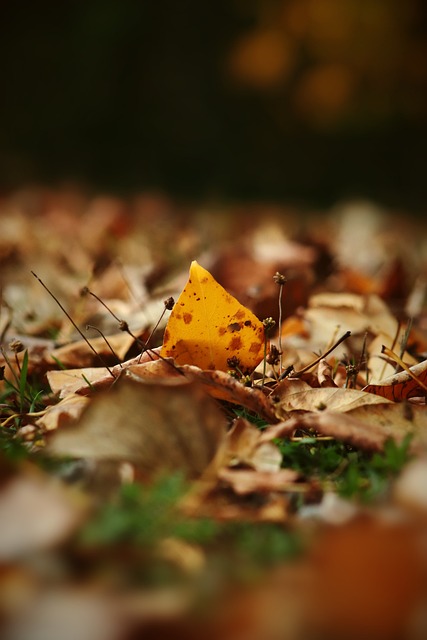 能够不断进 能够不断进