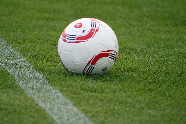 体现了这一 体现了这一