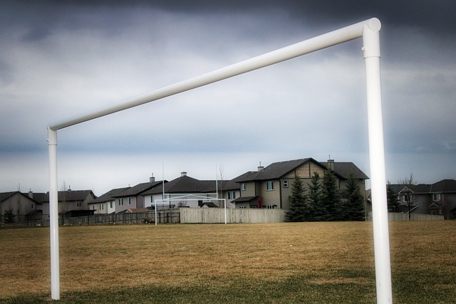 也可以看到 也可以看到