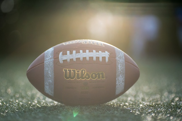 引进新外教 引进新外教