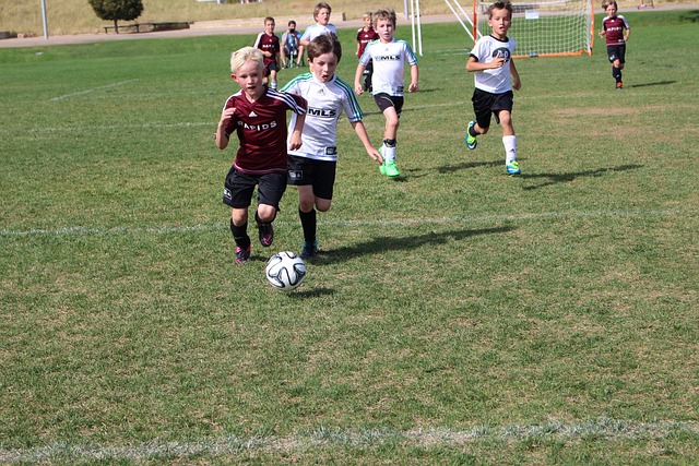 随着篮球赛 随着篮球赛