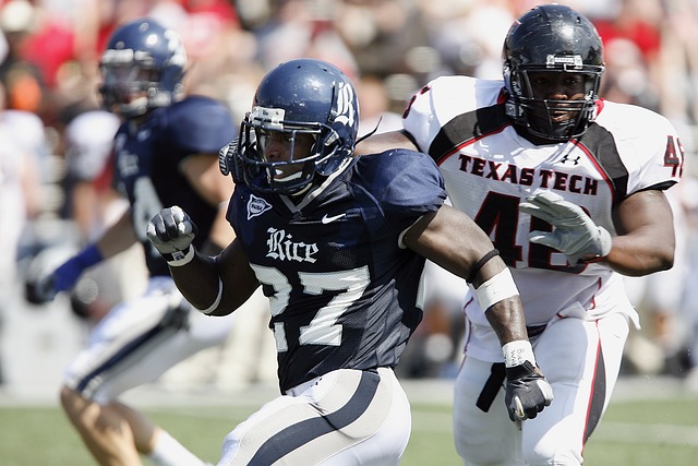 经济发展的 经济发展的