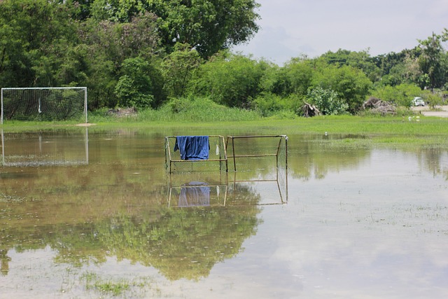 如果快船冲击不到西部前六，它更希望狼队把勇士挤到附加区.